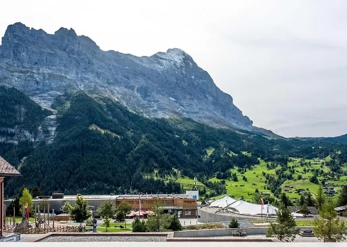 Eiger Panoramica - Aare Jungfrau Ag * 格林德瓦