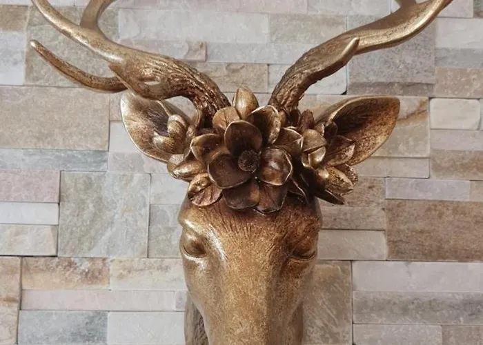 Eiger Panoramica - Aare Jungfrau Ag